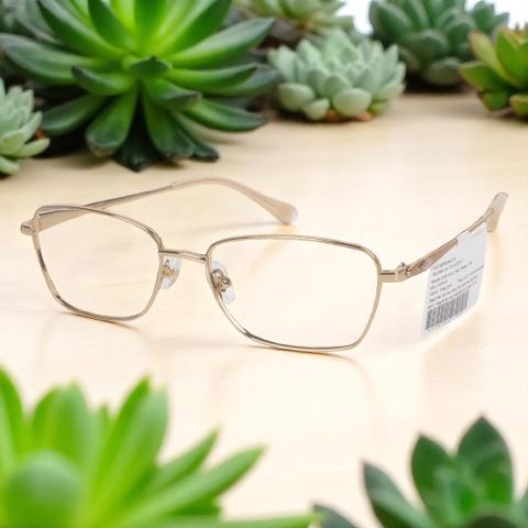  Gọng Kính Mắt Mèo Titanium Exfash EF74264T - Tem Chính Hãng 