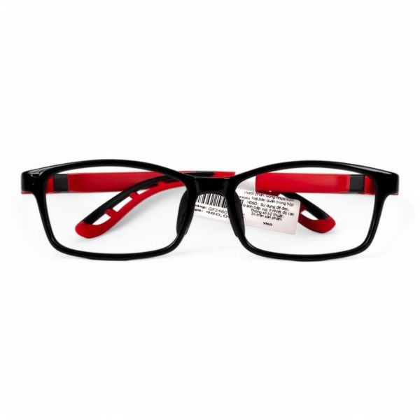 Giorgio Ferri GF24601