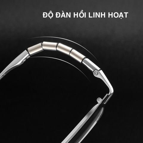  Gọng Kính Titanium 9009T 