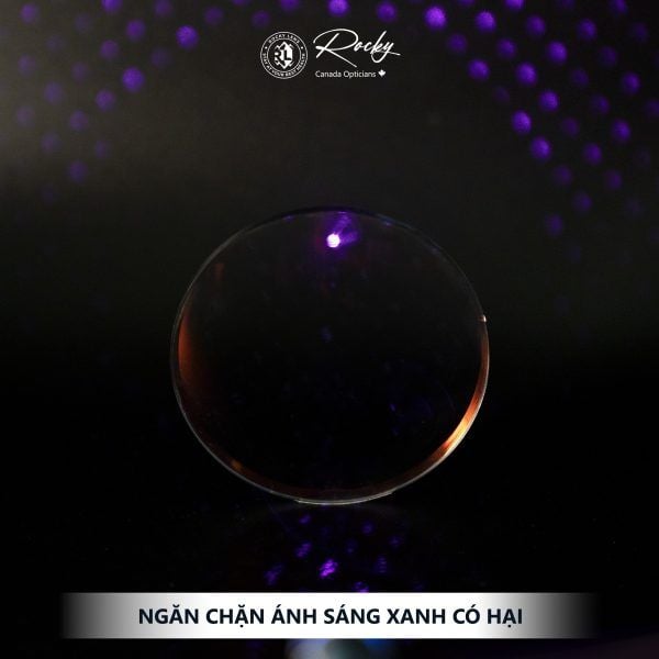  Trong Kính Chuyên Dụng Lái Xe Rocky Driveshield 