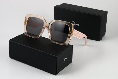  Kính mát Cao Cấp Acetate CHRISTIAN DIOR Wildior S2U 