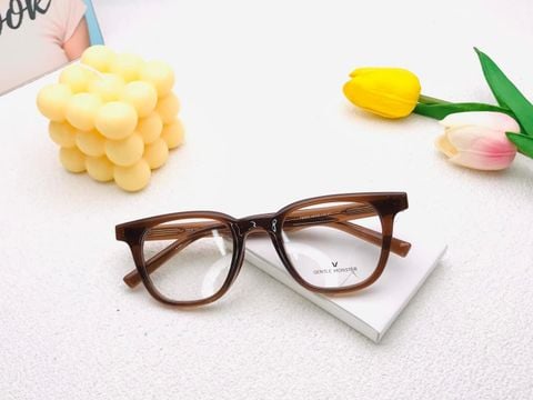  Gọng Kính Nhựa GM TB5553 