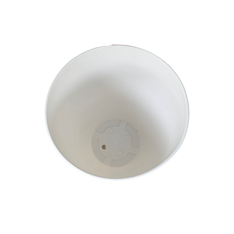 - Chậu nhựa bom trơn giả sứ cao cấp trồng hoa kiểng, cây cảnh