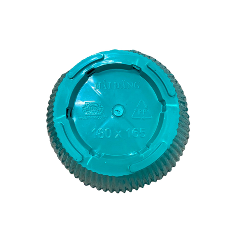 - Chậu nhựa gân sọc nhí trồng cây kiểng 18x16.5H HD