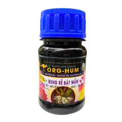 Combo chăm sóc và phục hồi mai Tết (Plus) - Tại CH Đà Nẵng