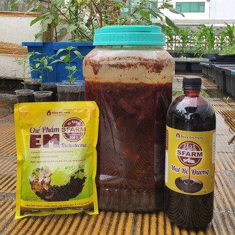 Combo 1 túi chế phẩm EM Sfarm 200gr và 2 chai mật rỉ đường Sfarm 1 lít - Tại CH Hà Nội