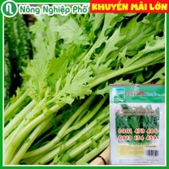 - Hạt giống cải bẹ xanh ngọt đuôi phụng PN 28 - Gói 10 gram