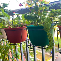 Chậu tròn vành THT - Chậu trồng cây kiểng, hoa cảnh, cây để bàn, cây tiểu cảnh đẹp