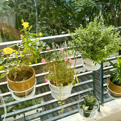 Giá đỡ chậu lan can tròn