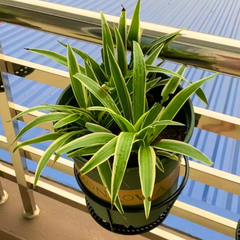 Giá đỡ chậu lan can tròn