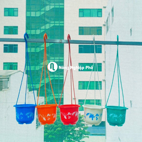 - Chậu treo in họa tiết trồng hoa kiểng 15x12H (HD)
