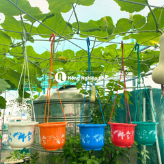 - Chậu treo in họa tiết trồng hoa kiểng 15x12H (HD)