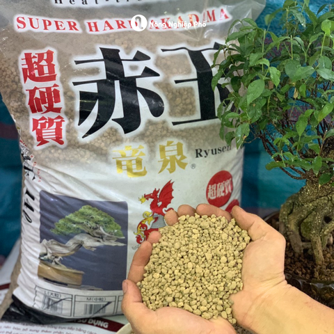 Đất AKADAMA Super Hard – Phân nền giữ ẩm, thoát nước tốt cho cây cảnh