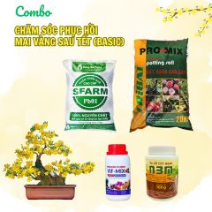 Combo chăm sóc và phục hồi mai sau Tết (Basic) - Tại CH TP. HCM