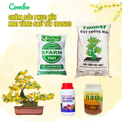 Combo chăm sóc và phục hồi mai sau Tết (Basic) - Tại CH TP. HCM