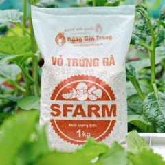 Combo cải tạo đất tơi xốp, giàu dinh dưỡng - Tại CH Hà Nội