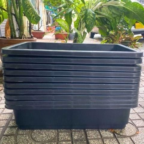 Chậu Trồng Rau Thông Minh 67x42x16H - Nhựa PP bền màu, thoát nước tốt