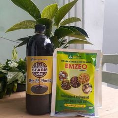 Combo bộ đôi 01 túi chế phẩm ủ rác và phân bón Emzeo 200gram và 02 chai mật rỉ đường loại 1 lít - Tại CH Hà Nội