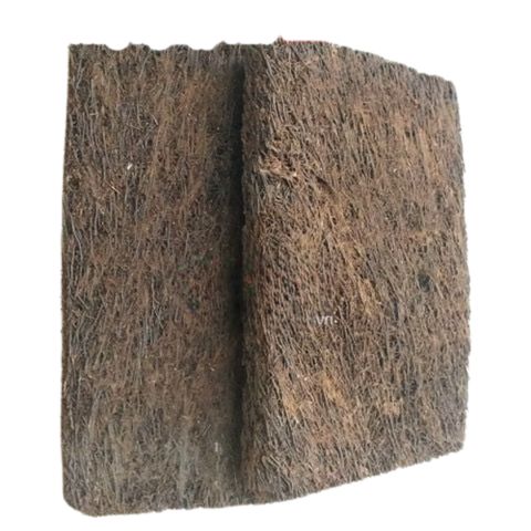 Dớn bảng trồng lan