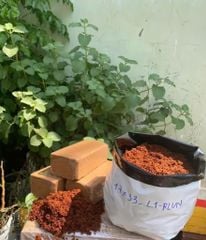 Viên nén xơ dừa dùng cho cây trồng, cây rau củ - 500 gram