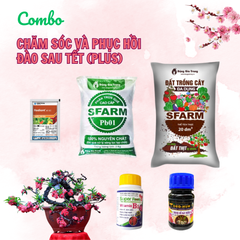 Combo chăm sóc đào sau Tết Plus (5 món) - Tăng rễ, ngừa sâu, cải thiện đất