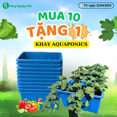 Chậu (Khay) Aquaponics chuyên trồng rau củ quả, cây ăn trái