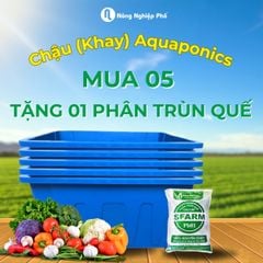 Chậu trồng rau Aquaponics Loại 1 – Trồng rau củ quả, cây ăn trái tại nhà