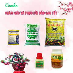 Combo chăm sóc và phục hồi đào sau Tết - Tại CH Hà Nội