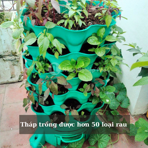 Tháp trồng rau kết hợp ủ rác hữu cơ