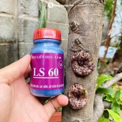 Keo liền sẹo liền da LS60 - Diệt khuẩn tốt kéo sẹo nhanh dùng cho cây trồng