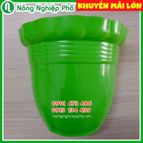 Chậu hoa ốp tường hình quả bí trồng hoa kiểng HD 20x11x18