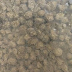 Đất AKADAMA Super Hard – Phân nền giữ ẩm, thoát nước tốt cho cây cảnh