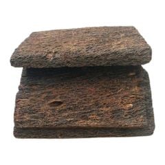 Dớn bảng trồng lan