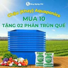 Chậu trồng rau Aquaponics Loại 1 – Trồng rau củ quả, cây ăn trái tại nhà