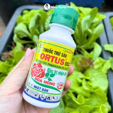 ORTUS 5SC (100ml) – Đặc trị nhện đỏ, hiệu quả cao cho hoa hồng và cây trồng khác