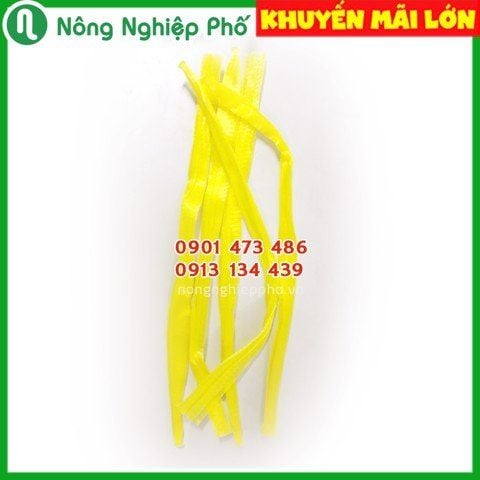 Lưới bọc chậu trồng lan
