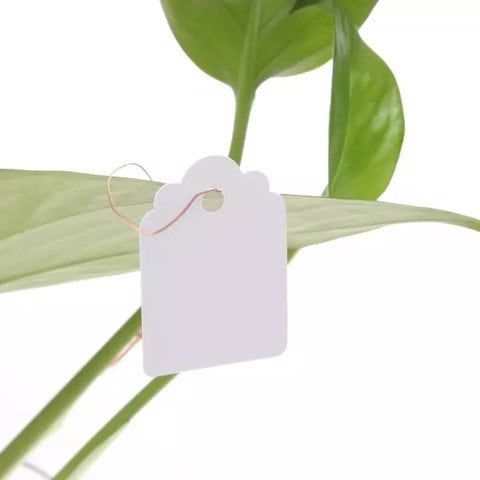 Thẻ ghi tên cây buộc dây ( 3x4cm )