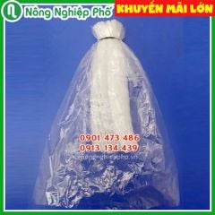 Combo túi nylon ( túi bóng ) - dây thun ( dây chun ) và túi ( lưới ) xốp bộc ổi - Túi 1 kg