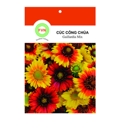 Hạt giống Hoa Cúc công chúa Gaillardia Mix FVN - Gói 5 hạt