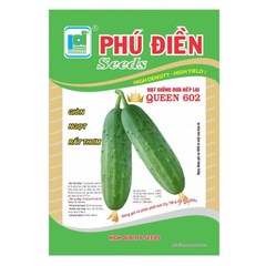 Hạt giống Dưa chuột nếp lai Queen 602 - Gói 1gr