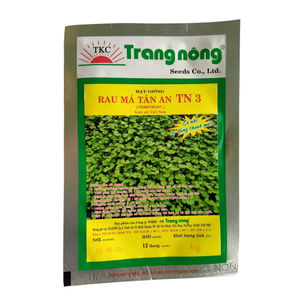 Hạt giống Rau má Tân An TN 3 - Gói 1 gram