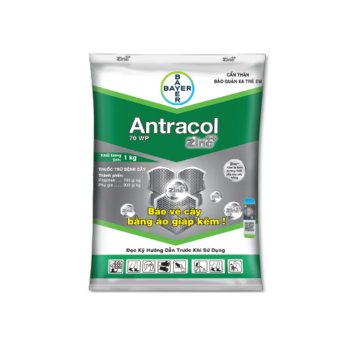 Antracol 70WP - Phòng ngừa nấm bệnh, tăng cường đề kháng cây trồng