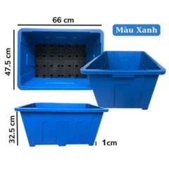 Chậu trồng rau Aquaponics Loại 1 – Trồng rau củ quả, cây ăn trái tại nhà