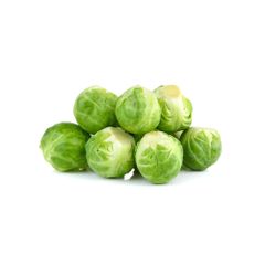 Hạt giống bắp cải tí hon Rạng Đông BRUSSELS SPROUT 219 - Gói 2gr