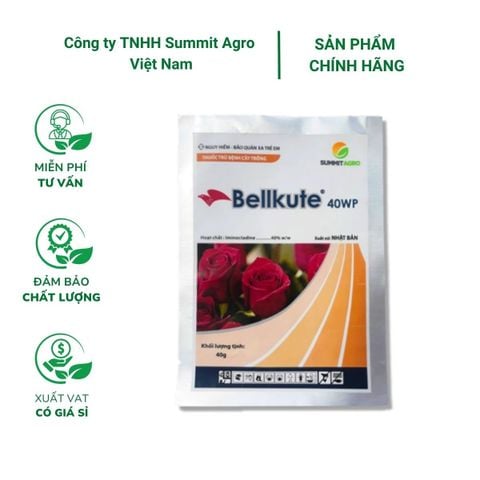Thuốc trừ bệnh BELLKUTE 40WP đặc trị bệnh phấn trắng trên hoa hồng - Gói 20 gram