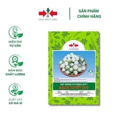 Hạt giống Cà pháo Bạch Tuyết lai F1 979 East-West Seed (Hai Mũi Tên Đỏ) - Gói 1gr