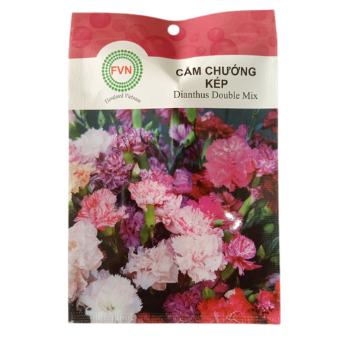 Hạt giống hoa cẩm chướng kép FVN - Gói 5 hạt