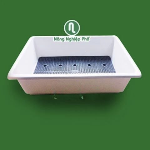 Chậu trồng rau hình chữ nhật 65x42x16H - Nhựa PP bền màu, thoát nước tốt