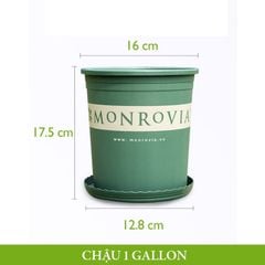 NBDIA - Chậu nhựa Monrovia Original Series cao cấp màu xanh