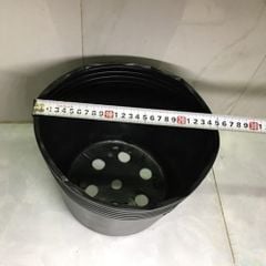 Chậu nhựa trồng cây (túi bầu ươm cây) mềm màu đen - Chậu nhựa PP chịu lực tốt, chịu ẩm, nhiệt cao, bền